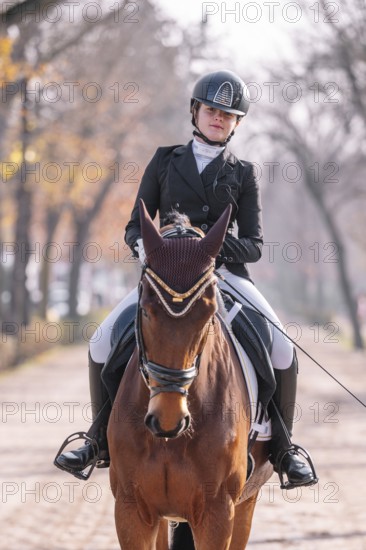 A teenage girl dressed in classical dressage attire rides a brown horse. Her focused gaze is