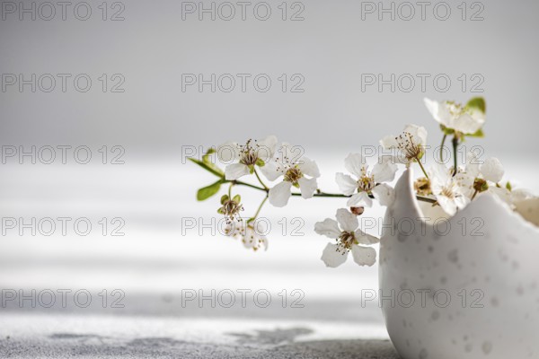 White cherry blossoms extend elegantly from a speckled ceramic vase, placed against a soft blurry