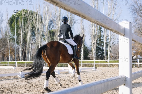 Back view of unrecognizable teenage equestrian riding a bay horse in a classical dressage session.