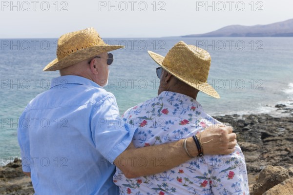 Back view of an unrecognizable senior gay couple standing close together, looking out towards the