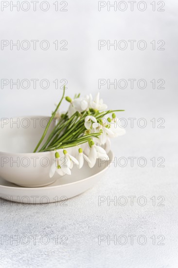 Fresh spring snowdrops elegantly arranged in a white ceramic bowl on a textured pale background.
