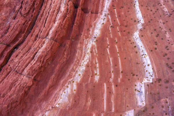 Up-close image capturing the intricate linear erosion patterns and texture on the surface of a red