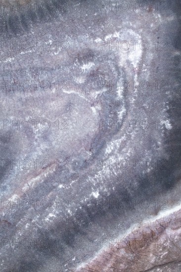 Aerial shot of a sandstone lake showcases soft pastel shades and organic textures, creating a