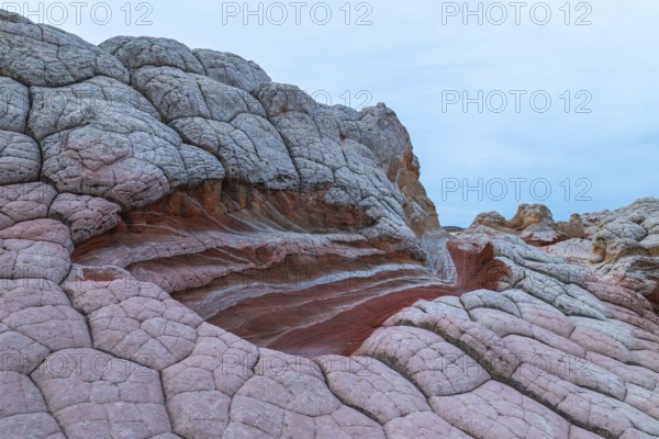 Detailed view of the unique, textured rock formations at White Pocket, Arizona, USA, featuring