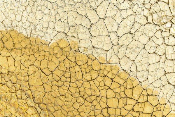 Close-up view of a dry, cracked surface shimmering with golden mud, creating a unique pattern of