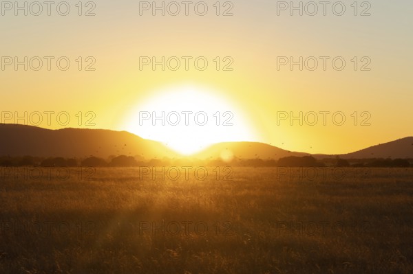 A serene sunset view over the vast grasslands of Cabaneros National Park in Montes de Toledo,