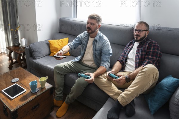 A gay couple sits on a cozy sofa in their living room, focused on playing video games. Sunlight