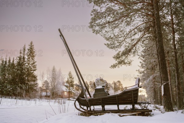 A vintage wooden sleigh rests in a serene snowy forest in Swedish Lapland at sunset. The peaceful