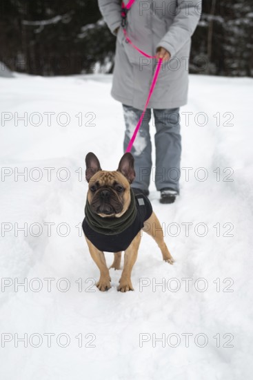 A person walks their dog on a snowy path, highlighting the joy of winter outdoor activities. The