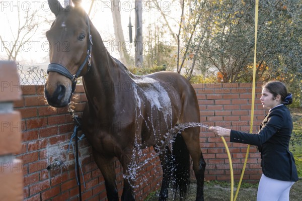 A person in a classical riding outfit washes a horse with a hose in a sunny yard, emphasizing care