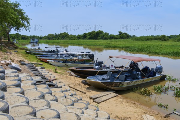Five boats are moored on a quiet riverbank against green vegetation under a clear sky, Porto Jofre,