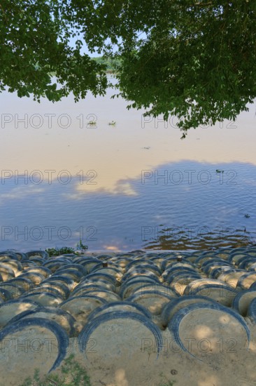 The riverbank is paved with stacked tires, shaded by treetops, Porto Jofre, Pantanal, Mato Grosso,