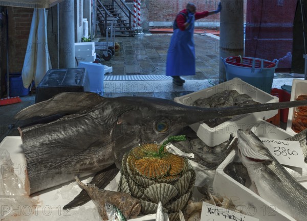 Fresh swordfish (Xiphias gladius), fish market, Rialto market in the San Polo district, Venice,