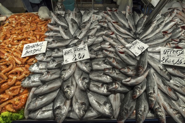 Fresh bream (Abramis brama), left crayfish (Palinuridae) on ice, fish market, Venice, Veneto, Italy