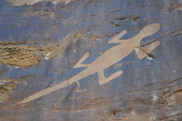 Close-up of lizard petroglyphs, petroglyphs from the Fremont culture, on sandstone, Dinosaur