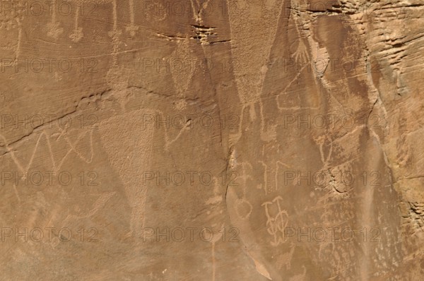 Part of a rock with ancient petroglyphs from the Fremont culture, Dinosaur National Monument, Utah,