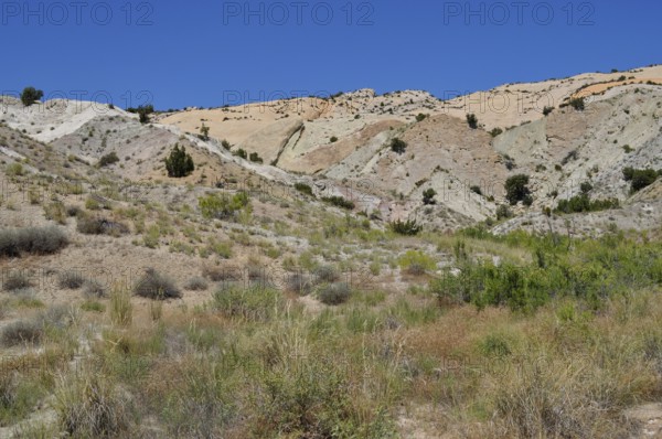 Colourful hills with sparse vegetation and clear skies in desert-like surroundings, Dinosaur