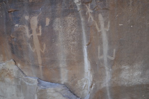 Petroglyphs of the Fremont culture of lizards on a rock with faded sandstone, Dinosaur National