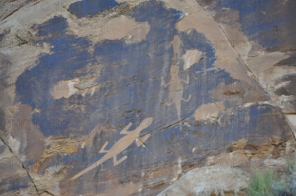 Petroglyphs of the Fremont culture of lizards on a blue sandstone, Dinosaur National Monument,