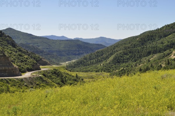 View of a green valley with a winding road surrounded by mountains under a clear sky, Dinosaur