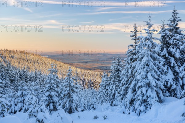 Deep snow-covered winter landscape, view of endless snow-covered spruce forests on Wurmberg in the
