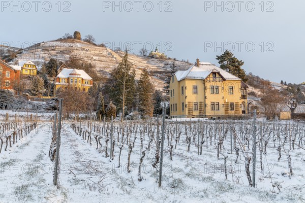 Twilight view of Oberlößnitz vineyards in snow with Bismarck Tower and Spitzhaus, Radebeul, Saxony,