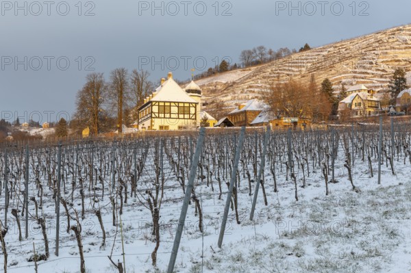 First rays of sunshine at the Hoflössnitz winery in winter, Oberlößnitz in the snow, Goldener Wagen