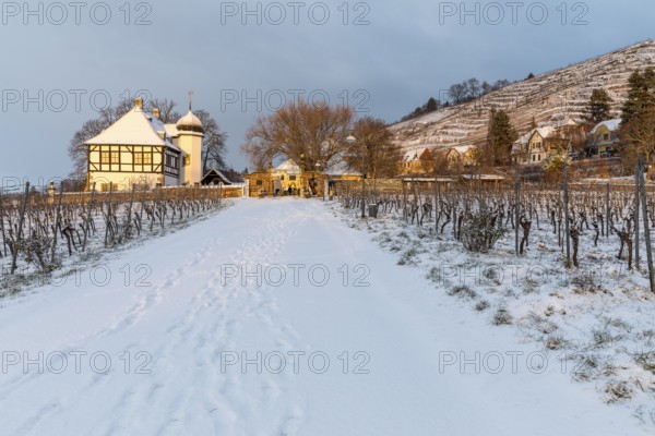 First rays of sunshine at the Hoflössnitz winery in winter, Oberlössnitz in the snow, Radebeul,