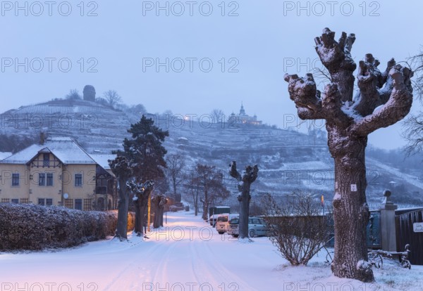 Twilight view of Oberlößnitz vineyards in snow with Bismarck Tower and Spitzhaus, Radebeul, Saxony,