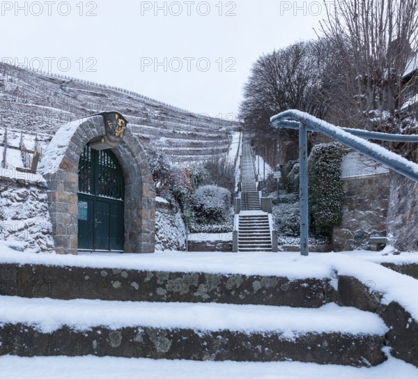 Spitzhaustreppe und Gates zum vineyard Goldener Wagen im Schnee, Oberlössnitz, Radebeul, Saxony,