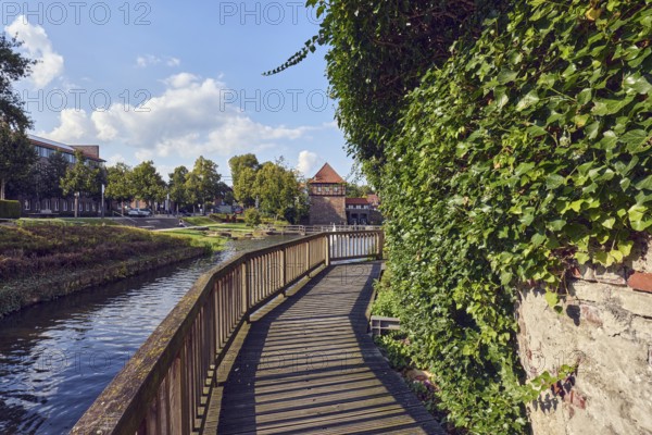 Mühlenstever, river Stever, wooden footbridge, wooden railing, wall, common ivy (Hedera helix),