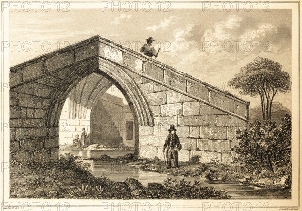 Trinity Bridge, Crowland, Peterborough, United Kingdom, pointed bridge over stream, nature, tree,