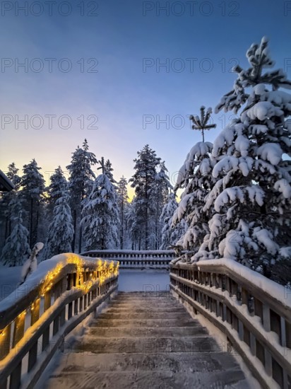 Staircase with fairy lights between snowy trees in winter, evening mood, Oulanka National Park,