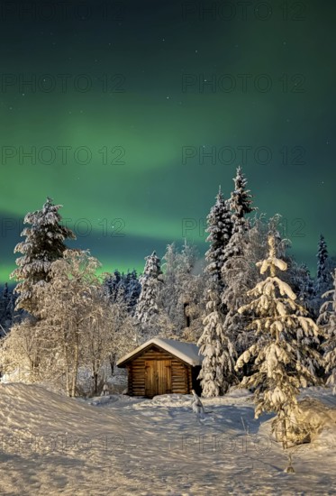 Northern lights, aurora borealis in the night sky, wooden cabin in snowy landscape, Oulanka