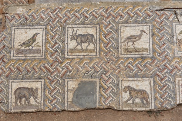 May 17th 2024. Carthage, Tunisia Mosaics at the ancient archaeological ruins of the Phoenician city