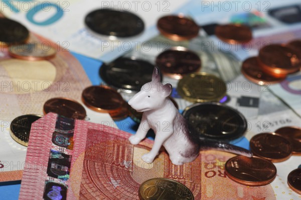 Miniature bull terrier figure sitting on euro coins surrounded by banknotes against a blue