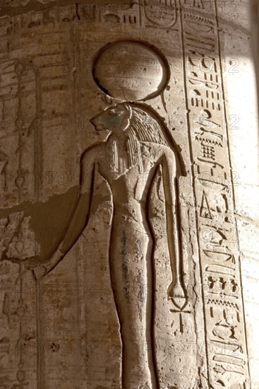 Hieroglyphic relief details from the Ramesseum, memorial temple or mortuary temple of Egyptian