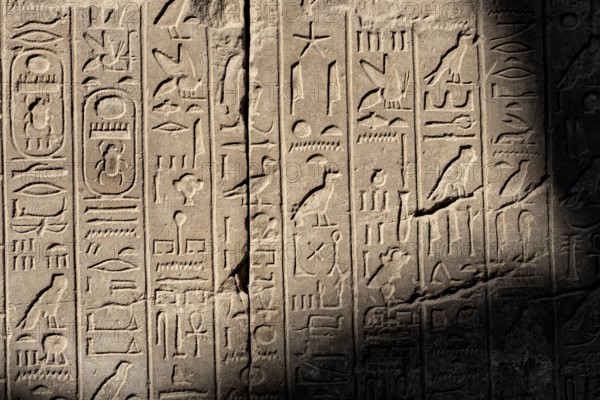 Ancient Egyptian stone cartouche hieroglyphic relief detail at Karnak Temple, Luxor. Egypt