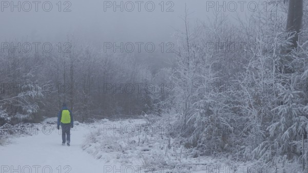 Individual hiker on a snowy forest trail in a foggy winter landscape, hiking on the Rennsteig in