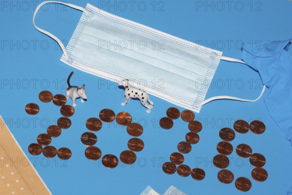 Miniature dogs with medical devices and euro coins on a blue background, North Rhine-Westphalia,