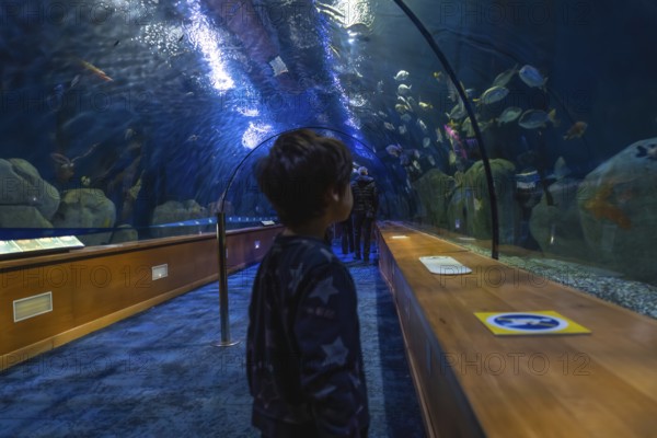 Young boy standing in a glass tunnel, observing fish swimming around him in a large public