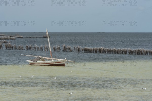 Traditional local fishing boat moored in the Kerkennah Archipeligo in the Gulf of Gabes in the