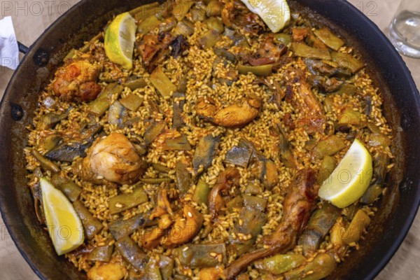 Traditional valencian paella cooking in a large pan with rice, chicken, rabbit, lima and green
