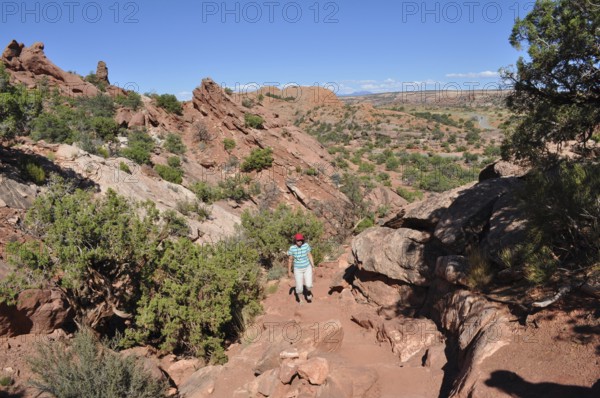 Female hiker in a rocky, dry desert landscape under clear skies, Canyonlands National Park, Island