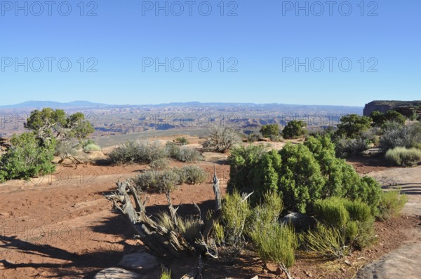 Arid desert landscape with shrubs and blue sky far away, Canyonlands National Park, Island in the