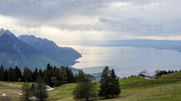A serene view of Lake Geneva surrounded by rolling alpine hills and trees Sunlight breaks through