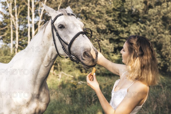 A young woman feeds a white horse a carrot in a peaceful forest. The tranquil scene captures