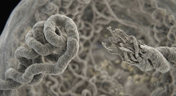 Detailed presentation of shortening telomeres on chromosomes as a symbol of biological aging, AI