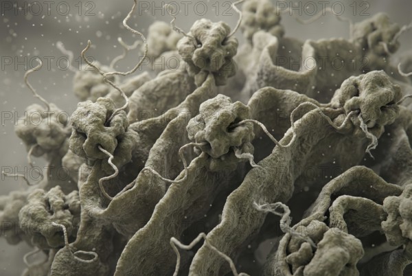 Scientific visualization of mRNA translation by ribosomes inside cells. Presentation of protein