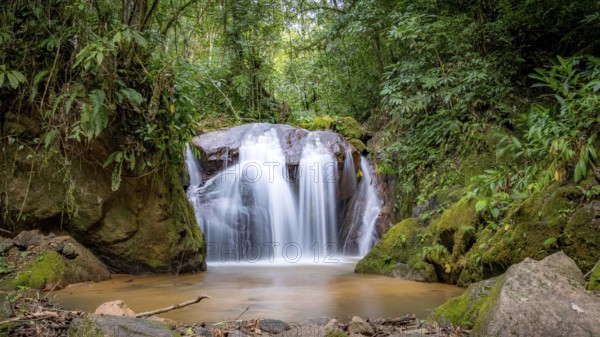 A tranquil waterfall cascades gently over moss-covered rocks surrounded by a dense, verdant forest